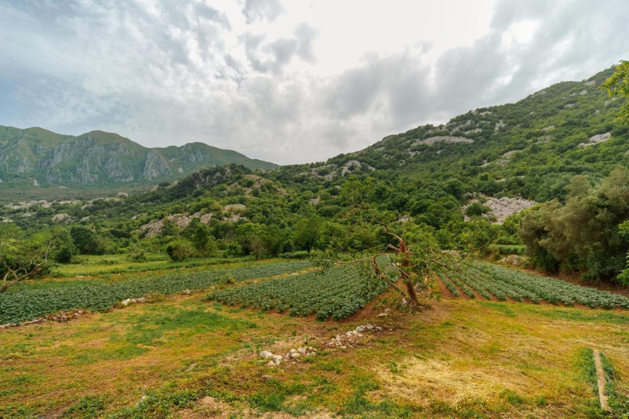 Apartments Econature Virpazar Exterior photo